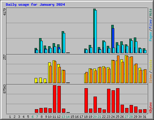 Daily usage for January 2024