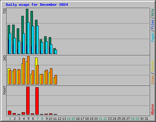 Daily usage for December 2024