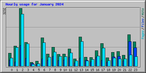 Hourly usage for January 2024