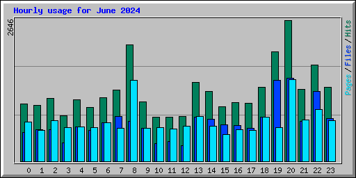 Hourly usage for June 2024