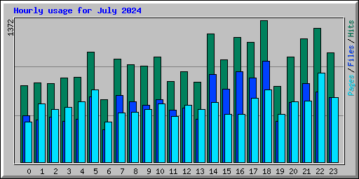 Hourly usage for July 2024