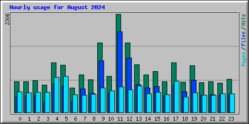 Hourly usage for August 2024