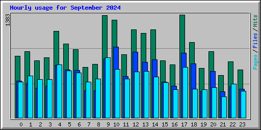 Hourly usage for September 2024