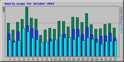 Hourly usage for October 2024