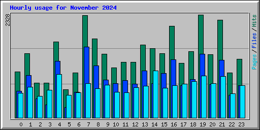 Hourly usage for November 2024