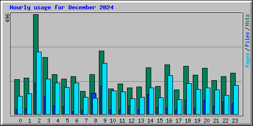 Hourly usage for December 2024