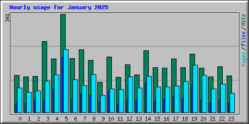 Hourly usage for January 2025